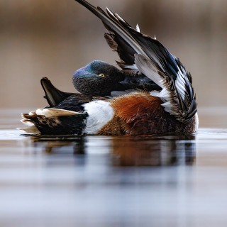 20250501-IMG_5983_crop_b_2048