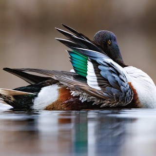 20250501-IMG_5993_crop_2048