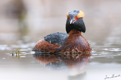 20250501 IMG 6330 2048