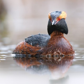 20250501-IMG_6330_2048