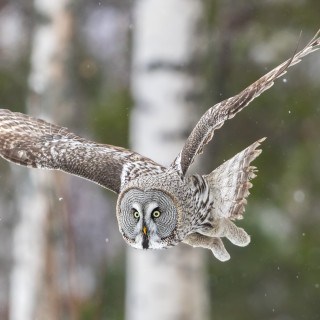 20240313-C72A5445_crop_2048