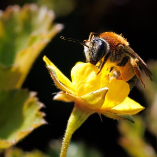 20250519-C72A8509_crop_2048