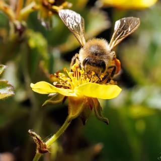 20250519-C72A8701_crop_b_2048