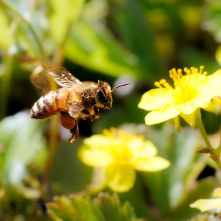 20250519-C72A8717_crop_2048