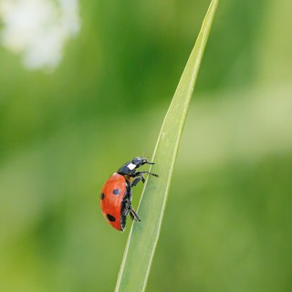 20250622-C72A9364_crop_2048