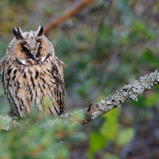 20250630-C72A3748_crop_b_2048