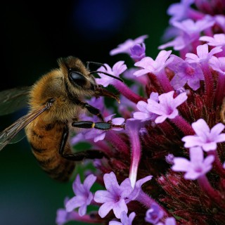 20250809-IMG_1883_crop_2048