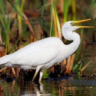 20250927-C72A0743_crop_2048