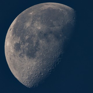 20251012-IMG_3480_crop_2048