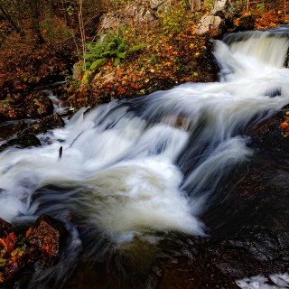 20251020-C72A7192_crop_2048