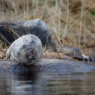 20190511-IMG_7560_crop_2048