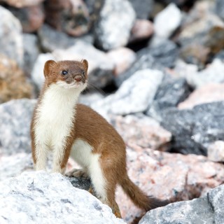 20200812-IMG_0168_crop_2048