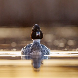 20250403-C72A0142_crop_b_2048