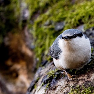 20251123-IMG_4869_crop_2048