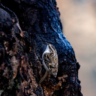 20251123-IMG_4944_crop_2048