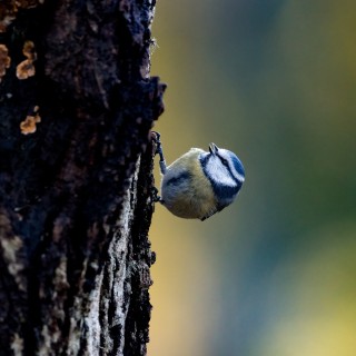 20251123-IMG_5057_crop_2048