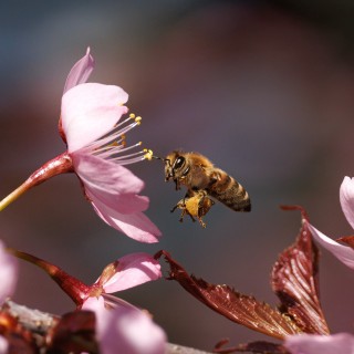 20260502-IMG_2058_crop_2048