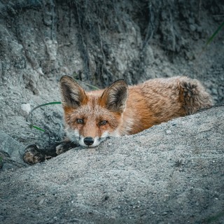 20260621-IMG_9641_2048