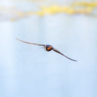 20260626-IMG_2407_crop_2048