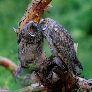 20260704-IMG_8844_crop_2048