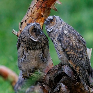 20260704-IMG_8848_crop_2048
